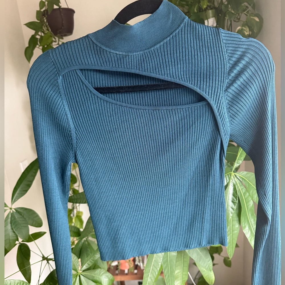 Aritzia Babaton Cut Out Top
